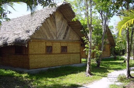 madagascar-ankanin-ny-nofy-palmarium-reserve-bungalow