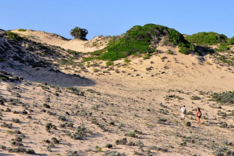 06-dunes-dovela-mozambique