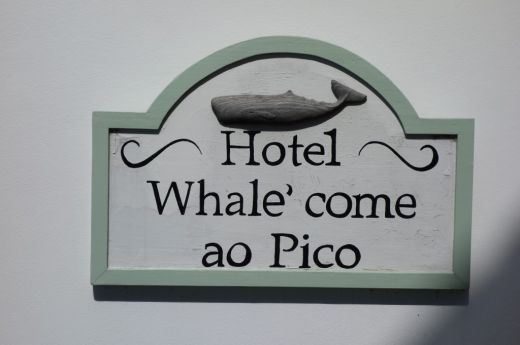 12-hotel-whale-come-ao-pico-ile-de-pico-acores-portugal