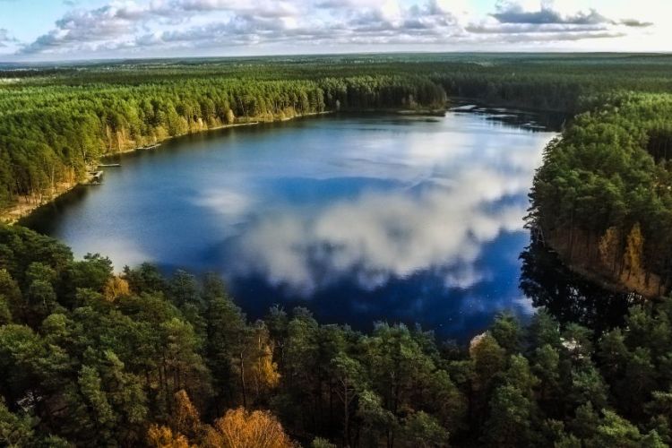 16-lacs-et-forêts-lituanie