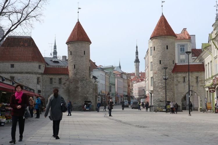 Tallinn 11