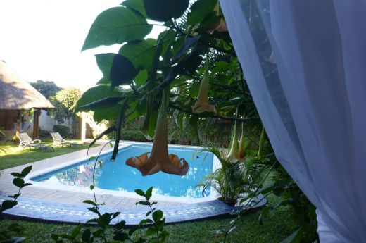 figtree-guest-house-maputo-mozambique-