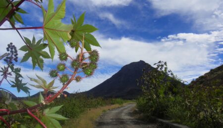 Circuit 4 îles au Cap-Vert : nature préservée et randonnées en terres volcaniques