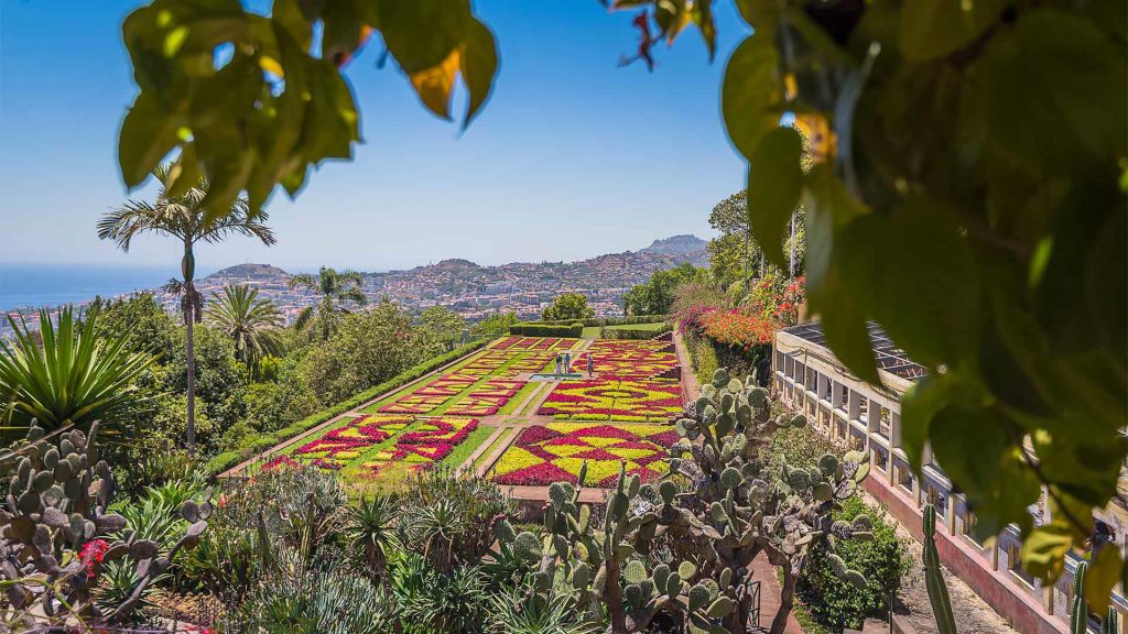 Jardins fleuris de Funchal à Madère au printemps