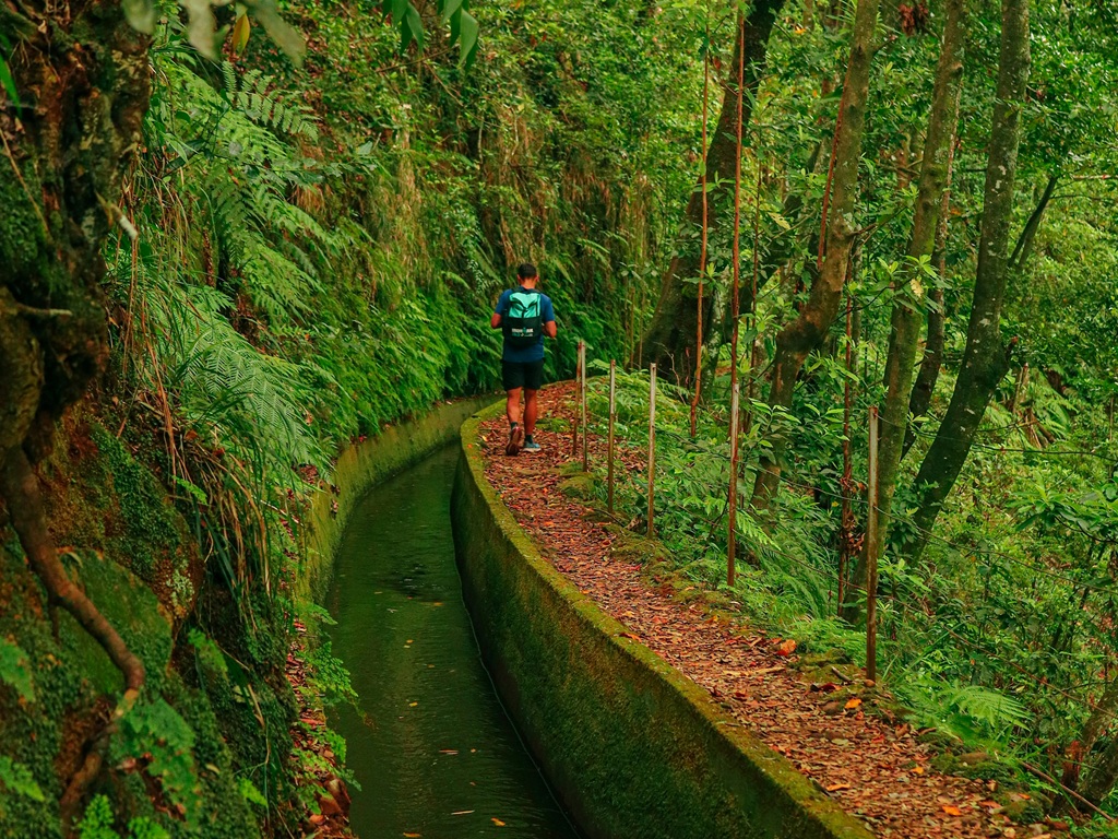 Randonnée le long d'une levada dans la forêt de Laurissilva à Madère