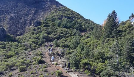 Circuit randonnée à Madère : levadas et montagnes