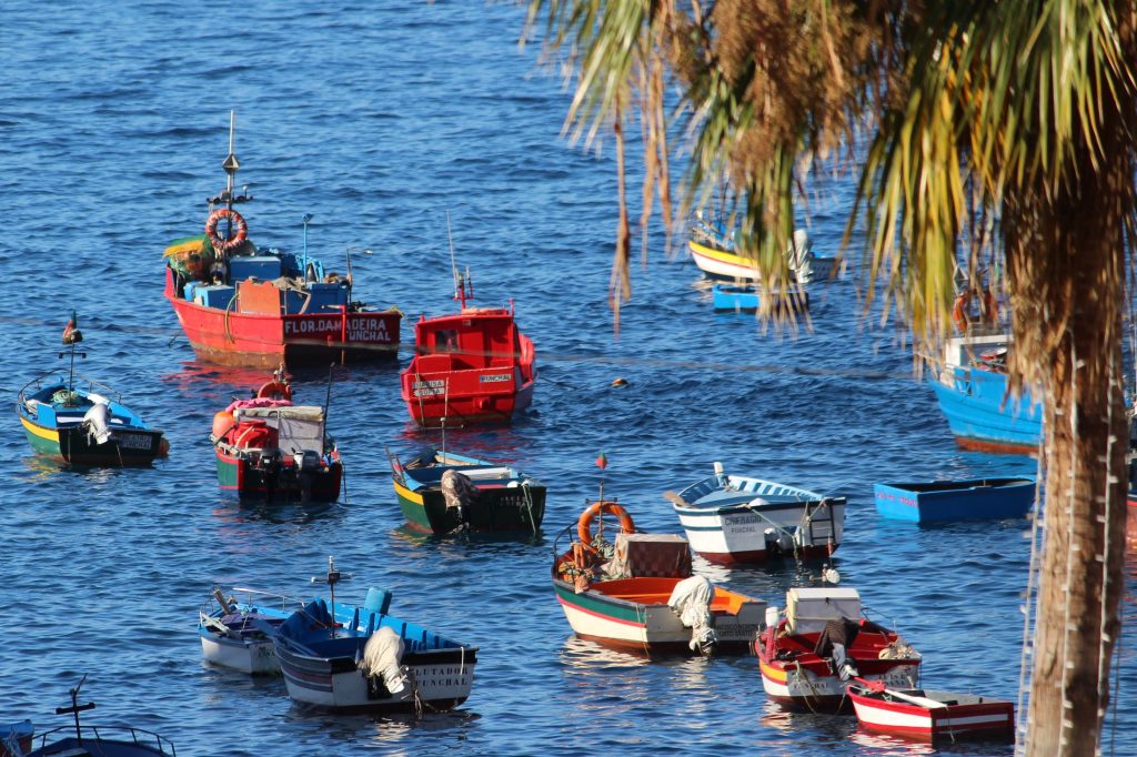 Port de pêche et barques traditionnelles à Câmara de Lobos, Madère