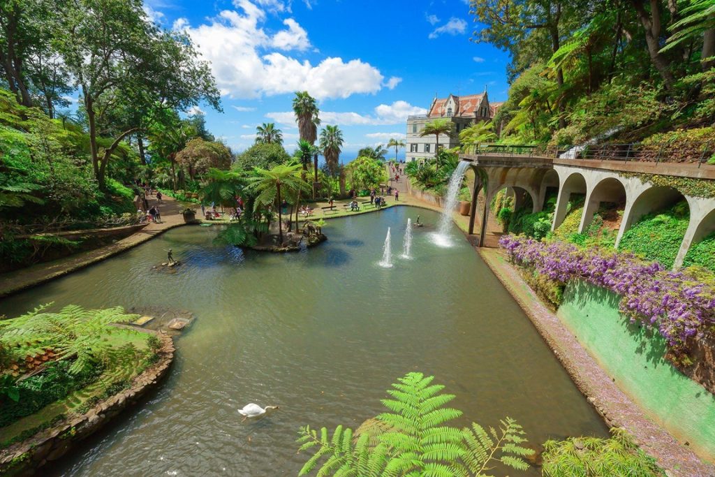 Bassin entouré de végétation luxuriante dans le jardin tropical Monte Palace à Funchal, Madère