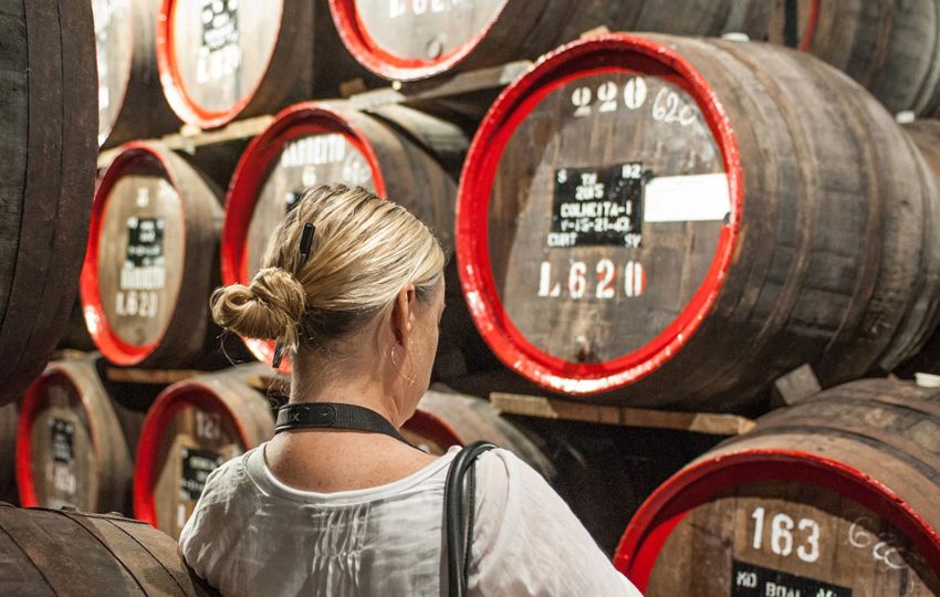 Une journée découverte du vin à Madère