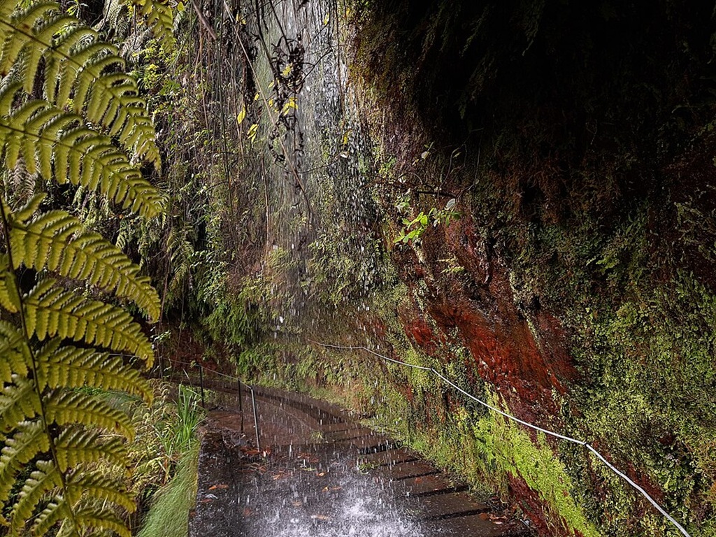Randonnée PR18 Levada do Rei dans la Laurissilva à Madère