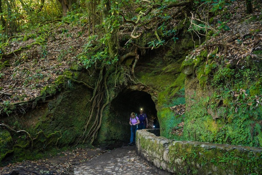 Randonneurs à l'entrée d'un tunnel végétal sur la levada du Caldeirão Verde à Madère